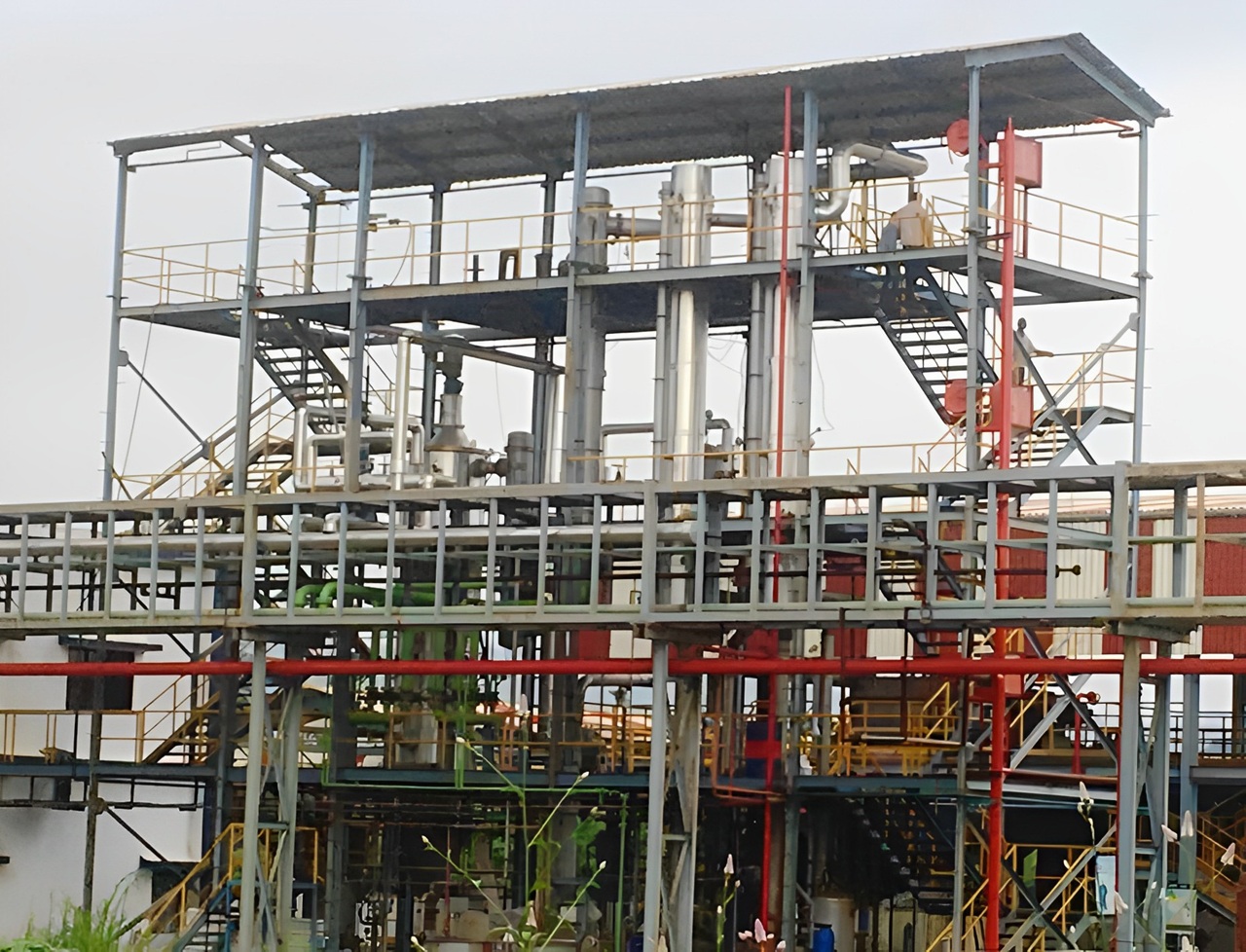 fce-1 (1)