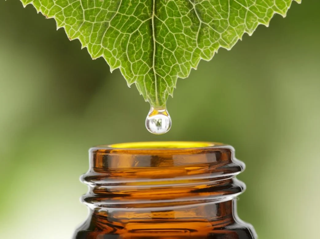herbal-extraction-1