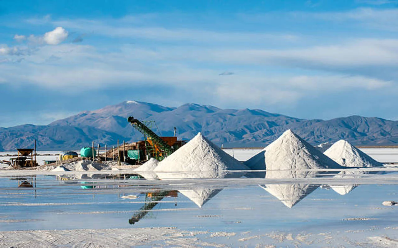 iodized-salt-plant-2