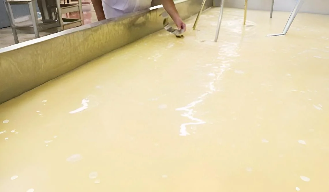 whey-processing-plant1